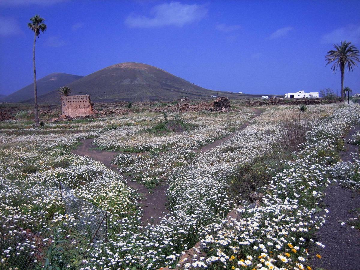Castillo Lanzarote Villa Winni - Luxury Villa - Pet Friendly With Heated Pool La Asomada  Zewnętrze zdjęcie