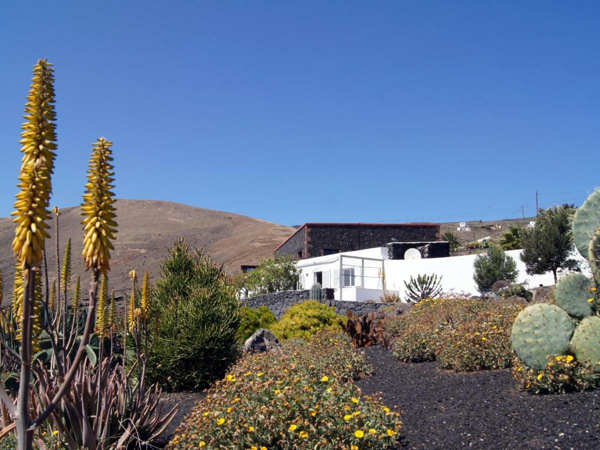 Castillo Lanzarote Villa Winni - Luxury Villa - Pet Friendly With Heated Pool La Asomada  Zewnętrze zdjęcie