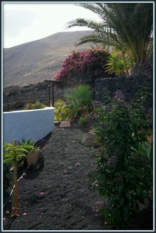 Castillo Lanzarote Villa Winni - Luxury Villa - Pet Friendly With Heated Pool La Asomada  Zewnętrze zdjęcie