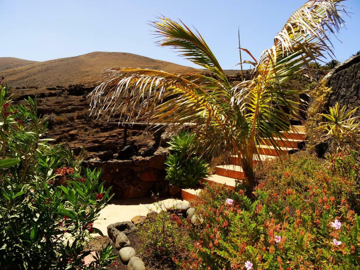 Castillo Lanzarote Villa Winni - Luxury Villa - Pet Friendly With Heated Pool La Asomada  Zewnętrze zdjęcie